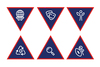 Special Interest Area Badges - ROVER SCOUT