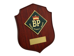 BP Award Plaque w/Stand
