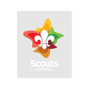 Australian Scout Logo Sticker Clear 20x16cm Each