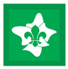 Introduction to Scouts Badge