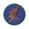 Patrol Emblem: Eagle