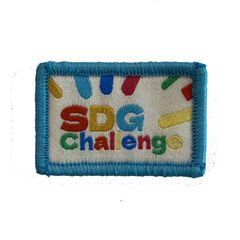 SDG Challenge Badge