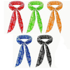 PRE SALE - AJ2025 Cool Neck Scarf - PRE SALE