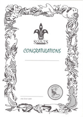 Joey General Congratulations Certificate Pk20