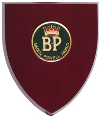 BP Award Plaque