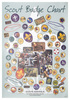 Scout Badge Chart