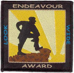 Endeavour Award