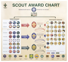 Scout Award Chart - DOWNLOAD ONLY