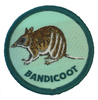 Patrol Emblem: Bandicoot