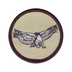 Patrol Emblem: Falcon