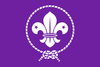 OUT OF STOCK - World Scout Flag - OUT OF STOCK