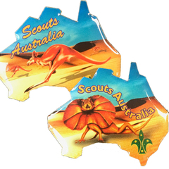 Australian Metal Outline Pin Set of 4 (RRP $13.20)